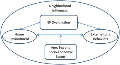 Associations Between Environmental Conditions and Executive Cognitive Functioning and Behavior During Late Childhood: A Pilot Study